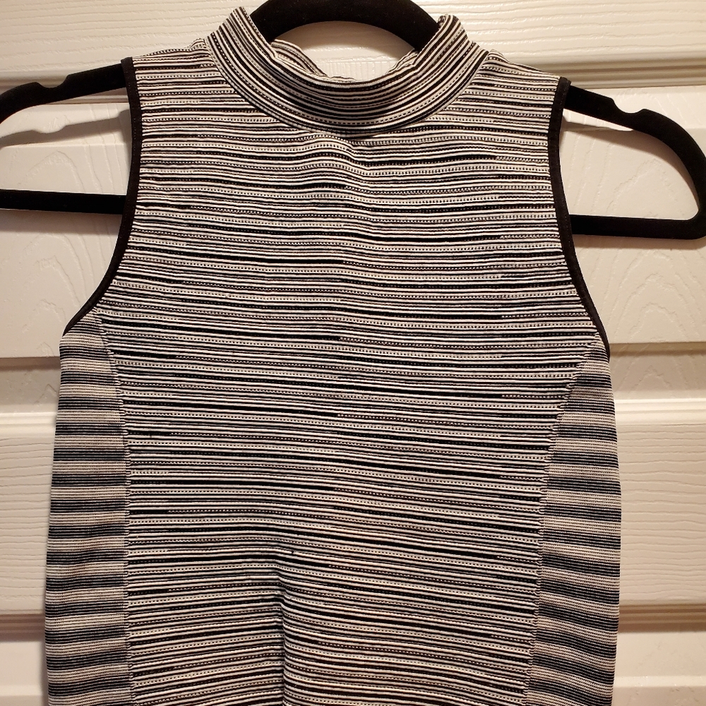 Bebe cropped striped top